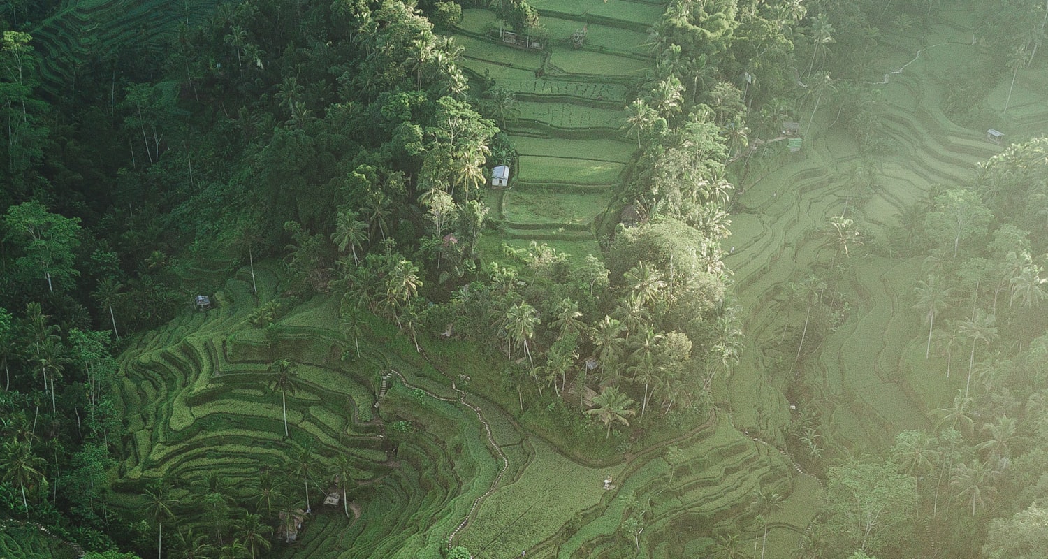 User-centric eco-centric task-force